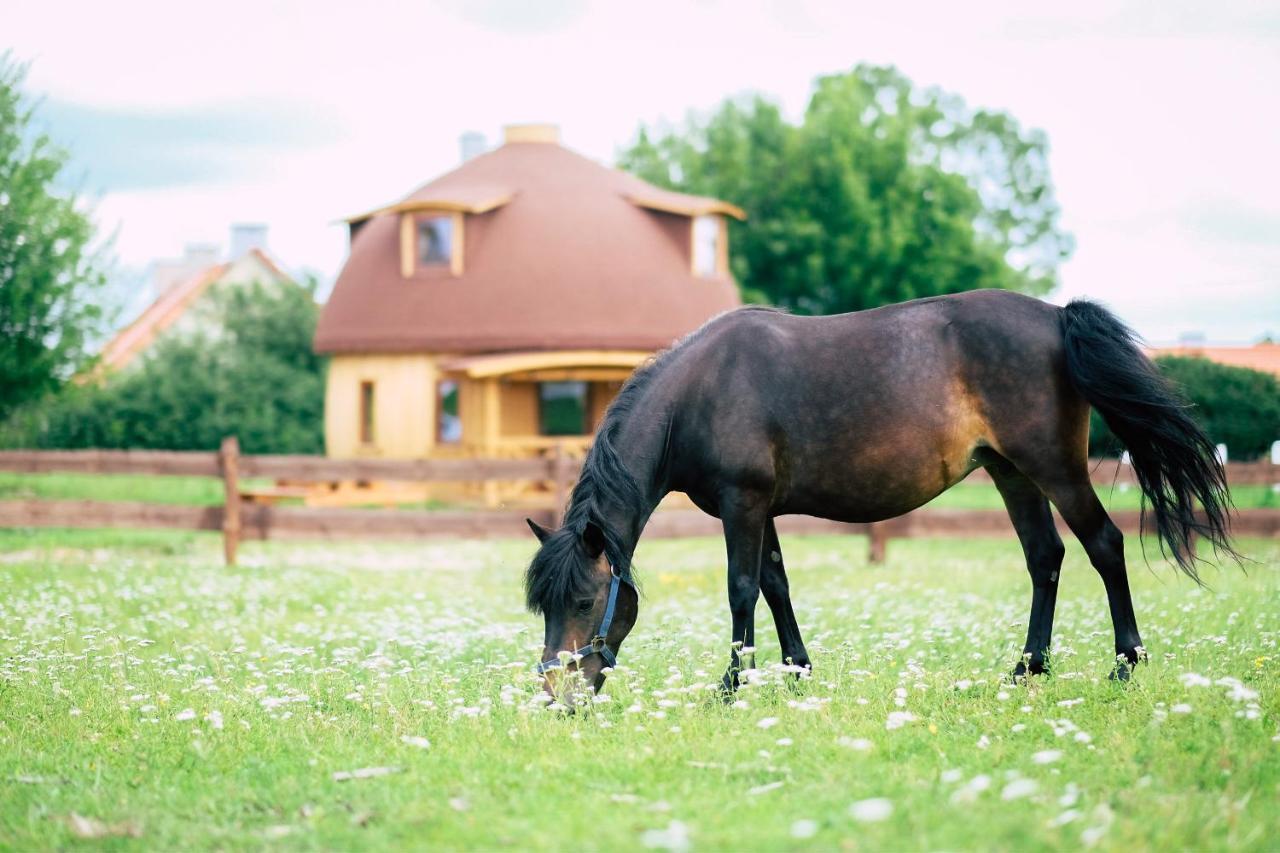 Grzybek Maison Champignon ケントシン エクステリア 写真